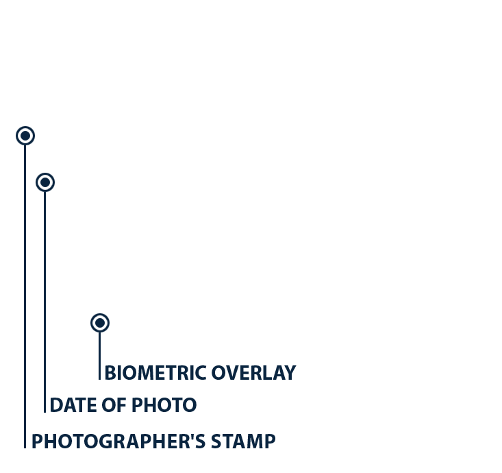 Informationen zum Passbildbogen